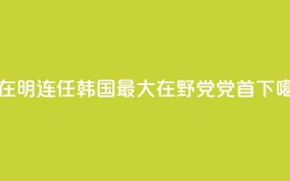 李在明连任韩国最大在野党党首