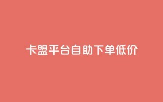 卡盟平台自助下单低价,24小时自助业务下单超稳定 - 如何获得1000粉丝 - qq访客量增加网站免费