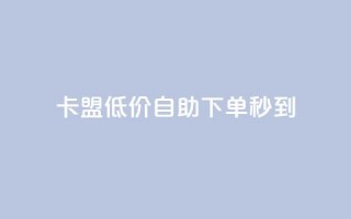 卡盟低价自助下单秒到,qq每天免费领10000赞 - qq低价说说赞空间说说的网站 - 王者科技自助平台