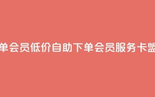 卡盟低价自助下单会员 - 低价自助下单会员服务-卡盟新版上线~