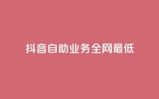 抖音自助业务全网最低 - 抖音自助业务全网最低——解锁抖音自助业务的最佳选择~