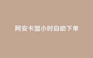 阿安卡盟24小时自助下单 - 24小时自助下单！阿安卡盟订单便捷！！