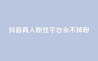 抖音真人粉丝平台 永不掉粉 - 抖音粉丝平台：畅享稳定粉丝，永远不失粉！~