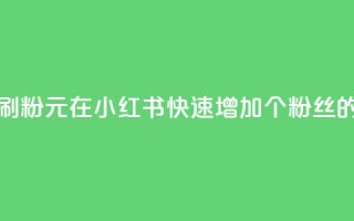 1元小红书秒刷1000粉 - 1元在小红书快速增加1000个粉丝的方法!