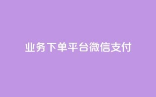 KS业务下单平台微信支付,快手业务24小时在线 - 快手一元一干点赞 - 抖音快手业务24小在线