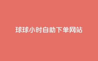 球球24小时自助下单网站,彩虹云商城网站 - 充qq空间访客 - qq刷空间说说免费卡盟