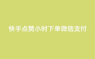 快手点赞24小时下单微信支付,QQ空间动态访问不算访客 - 网红助手点赞 - 点卡卡盟平台