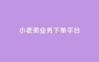 小老弟业务下单平台,QQ空间访客量免费网站 - 快手买点赞小店 - 黑科技引流推广神器