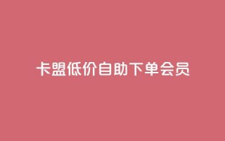 卡盟低价自助下单会员,qq访客充值 - qq互赞群在哪里找 - qq会员超级会员多少钱