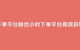 dy24小时下单平台粉丝(dy24小时下单平台，高效获取粉丝)