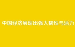 “中国经济展现出强大韧性与活力”