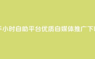 快手24小时自助平台——优质自媒体推广