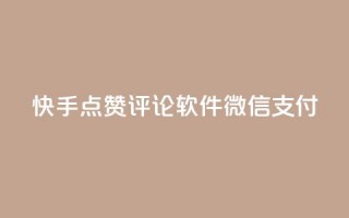 快手点赞评论软件微信支付 - 快手点赞评论软件支持微信支付！