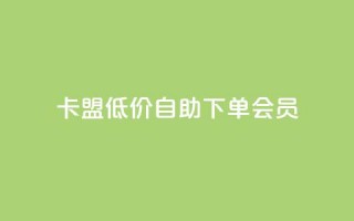 卡盟低价自助下单会员,dy企业号出售 - qq点赞24自助服务 - qq空间秒赞助手下载