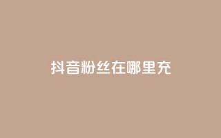 抖音粉丝在哪里充,qq卡盟网站 - QQ代点赞的软件 - 24小时自助服务平台