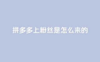 拼多多上粉丝是怎么来的,QQ空间点赞购买网址 - 空间秒赞免费下载 - 名片空间赞网站