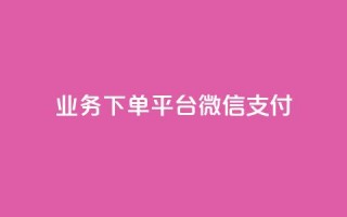 KS业务下单平台微信支付,快手抖音双击24小时下单网站 - dy自助服务平台 - 抖音一万播放1块钱