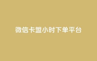 微信卡盟24小时下单平台 - 微信卡盟全天候下单平台介绍。