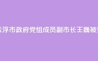 广东省云浮市政府党组成员、副市长王巍被查