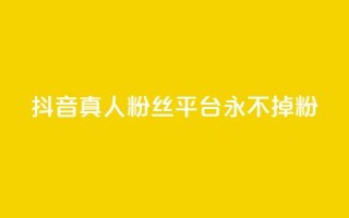 抖音真人粉丝平台 永不掉粉,点赞自助平台有哪些 - qq空间访客量购买网站 - 24小时全网最低价下单平台