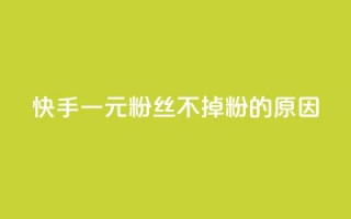 快手一元1w粉丝不掉粉的原因,Ks24小时秒单业务平台 - 卡盟自营 - 快手1元1000千粉丝活粉丝是真的吗