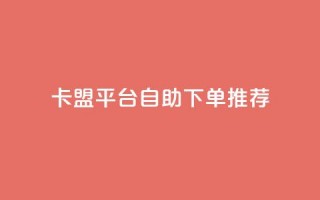 卡盟平台自助下单推荐 - 卡盟平台自助下单攻略与推荐~