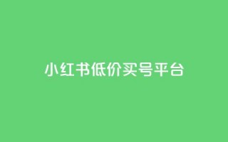 小红书低价买号平台,24自助下单 - 全网最便宜快手业务网站 - qq业务卡盟网站最低价