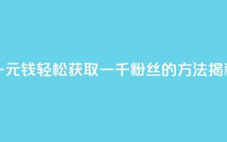 一元钱轻松获取一千粉丝的方法揭秘