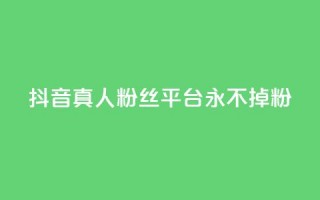 抖音真人粉丝平台 永不掉粉 - 抖音真人粉丝长期稳定平台！