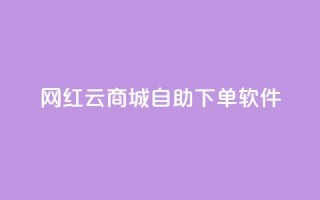 网红云商城自助下单软件,QQ空间点赞充值 - 快手一元100攒链接 - dy24小时下单平台粉丝