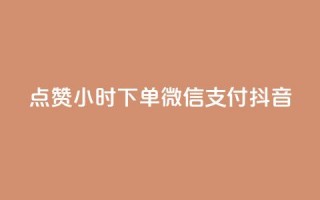 点赞24小时下单微信支付抖音,QQ空间刷浏览记录网站 - 卡盟十大平台排行榜 - 网红助手24小时免费下单