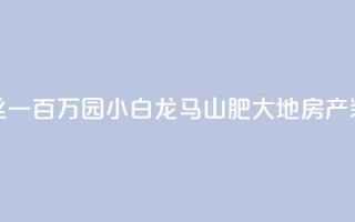 快手粉丝一百万0.01园小白龙马山肥大地房产装修网站,qq号自助下单平台 - 抖音业务下单24小时子子铺子 - 网红助手点赞