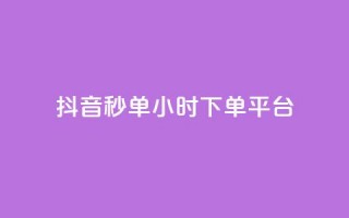 抖音秒单24小时下单平台 - 抖音秒单24小时下单平台——极速购物，惊喜无限!