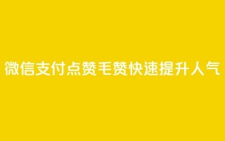 微信支付，qq点赞1毛10000赞，快速提升人气