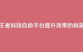 王者科技自助平台：提升SEO效果的利器