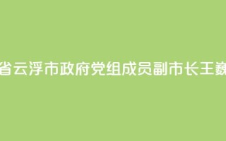 广东省云浮市政府党组成员、副市长王巍被查