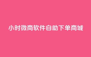 24小时微商软件自助下单商城,KS业务下单软件 - 拼多多0.01积分后面是什么 - 网上进货实体店买合法吗