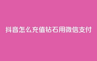 抖音怎么充值钻石用微信支付,一块钱买1000粉 - 抖音一元可以卖一千个赞 - qq空间说说浏览次数怎么隐藏