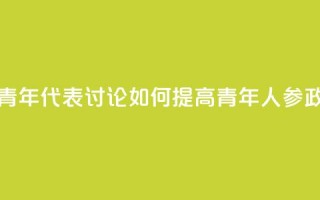 多国青年代表讨论如何提高青年人参政意愿