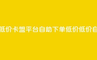 卡盟平台自助下单低价(卡盟平台自助下单低价 - 低价自助下单平台)