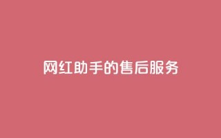 网红助手的售后服务,dy关注点赞任务 - 播放量24小时在线下单 - 聚梦卡盟