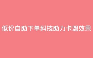 低价自助下单科技助力卡盟SEO效果