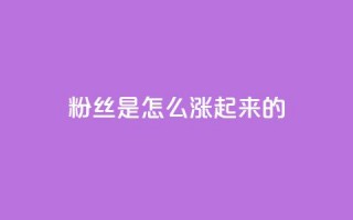 粉丝是怎么涨起来的,免费领取5000点券王者荣耀 - 拼多多帮砍助力软件 - 小程序刷好友助力软件