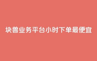 块兽业务平台24小时下单最便宜,卡盟平台登录入口 - qq免费一万访客网站 - 自助平台