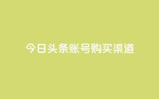 今日头条账号购买渠道 - 今日头条账号购买：了解账号购买渠道及相关信息!