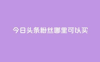 今日头条粉丝哪里可以买 - 今日头条粉丝购买渠道指南。