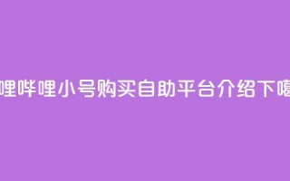 哔哩哔哩小号购买自助平台介绍