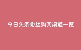 今日头条粉丝购买渠道一览