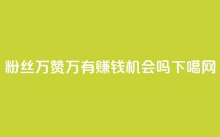 粉丝1万+赞47万，有赚钱机会吗？