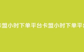 卡盟24小时下单平台QQ(卡盟24小时下单QQ平台)